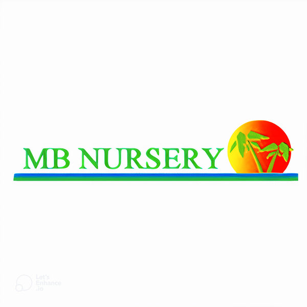 MB NURSERY